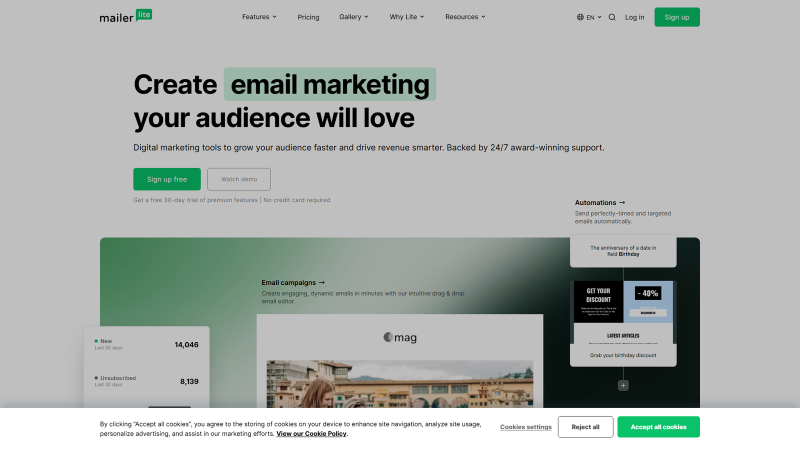 MailerLite email marketing MCP server Screenshot
