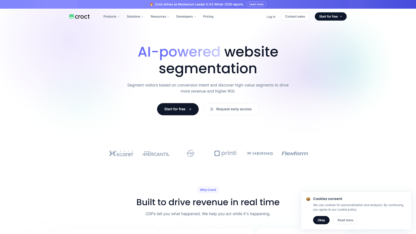 AI-powered website segmentation by Croct Screenshot